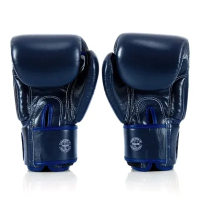 Боксерські рукавиці Fairtex BGV1-ONE (натуральна шкіра) Blue 10 унцій - 2 - Robinzon.ua