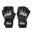 Перчатки для ММА Fairtex FGV12 ONE Black L - 1 - Robinzon.ua
