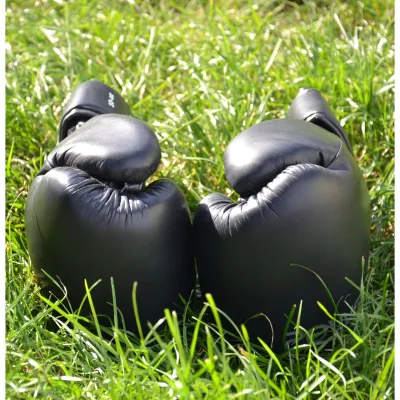 Боксерские перчатки PowerPlay 3087 Magnum Черные [натуральная кожа] 10 унций - 6 - Robinzon.ua