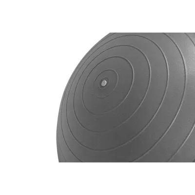 М'яч для фітнесу (фітбол) напівмасажний PowerPlay 4003 &Oslash;65 cm Gymball Сірий + помпа - 1 - Robinzon.ua