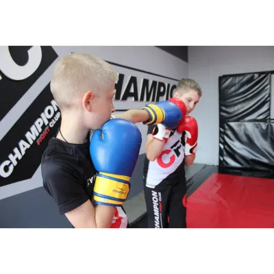 Боксерські рукавиці PowerPlay 3004 JR Classic Синьо-Жовті 8 унцій - 6 - Robinzon.ua