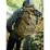 Тактический рюкзак Tasmanian Tiger Mil OPS Pack 30, Olive (TT 7323.331) - 7 - Robinzon.ua
