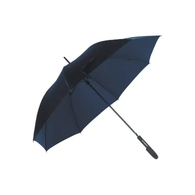 Парасолька-тростина RAIN PRO BLUE - 2 Парасолька-тростина RAIN PRO BLUE - 2 - Robinzon.ua