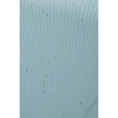 Чемодан 67 см STARVIBE AZZURRO SPECKLES - 4 - Robinzon.ua