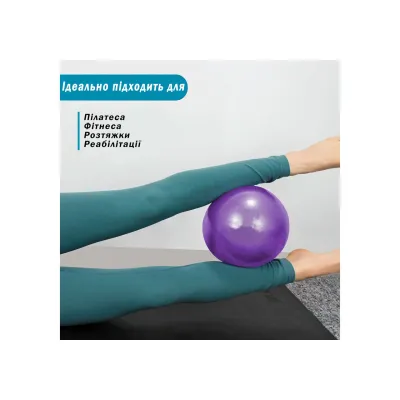 Мяч для пилатеса EasyFit 25 см фиолетовый - 1 - Robinzon.ua