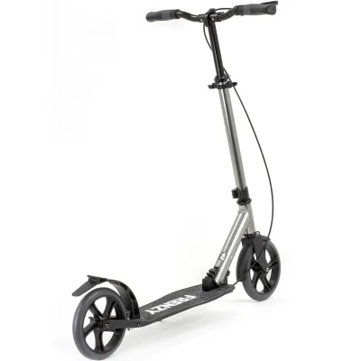 Frenzy самокат 205 мм Двійне гальмо Рекреаційний титановий. - 2 - Robinzon.ua