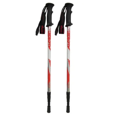 Трекінгові палиці Tramp Scout пара TRR-009 - 1 - Robinzon.ua