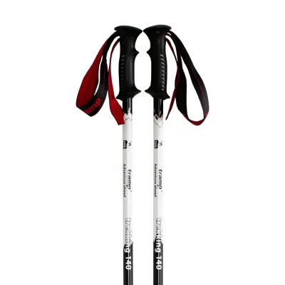 Трекінгові палиці Tramp TREKKING 140 пара TRR-003 - 1 - Robinzon.ua