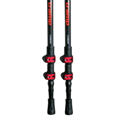 Трекінгові палиці Tramp Carbon TRR-015 - 1 - Robinzon.ua