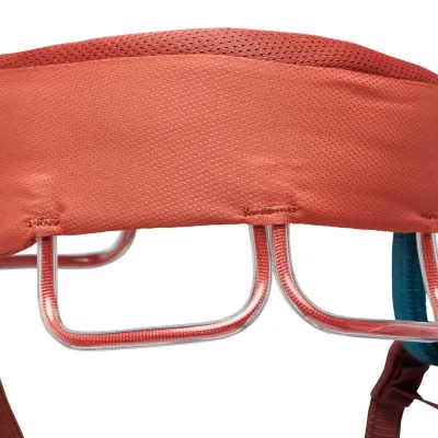 Страхувальна система жіноча Black Diamond W Momentum, Baja Sunrise, L (BD 6500066028LG_1) - 2 - Robinzon.ua