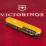 Складаний ніж Victorinox SPARTAN UKRAINE Vx13603.3_T3110p - 3 - Robinzon.ua