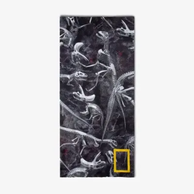 Шарф-труба дитячий (4-12) Buff Original Ecostreth, Jeffer Grey (BU 130046.937.10.00) - 1 Шарф-труба дитячий (4-12) Buff Original Ecostreth, Jeffer Grey (BU 130046.937.10.00) - 1 - Robinzon.ua