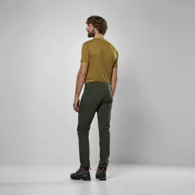 Брюки мужские Salewa FANES LIGHT PANT M 28835 5280 - 54/2X - оливковое - 5 - Robinzon.ua