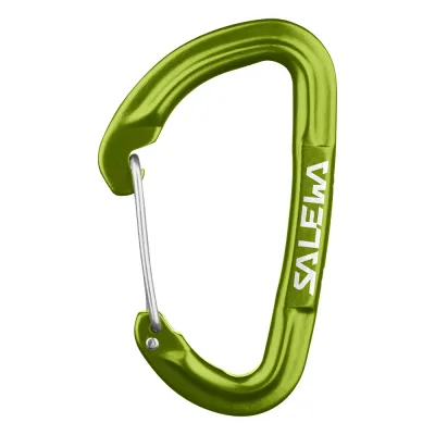 Карабін Salewa Hot G3 Wire, Green, UNI (1723/5810 UNI) - 1 - Robinzon.ua