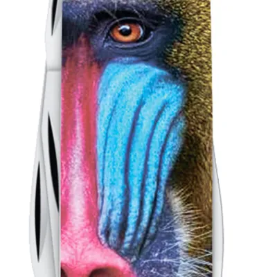 Складаний ніж Victorinox TINKER ANIMAL Мавпа Мандрил 1.4603.3.F1070pw - 4 Складаний ніж Victorinox TINKER ANIMAL Мавпа Мандрил 1.4603.3.F1070pw - 4 - Robinzon.ua