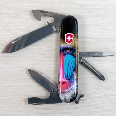 Складаний ніж Victorinox TINKER ANIMAL Мавпа Мандрил 1.4603.3.F1070pw - 7 Складаний ніж Victorinox TINKER ANIMAL Мавпа Мандрил 1.4603.3.F1070pw - 7 - Robinzon.ua