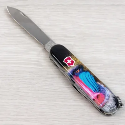 Складаний ніж Victorinox TINKER ANIMAL Мавпа Мандрил 1.4603.3.F1070pw - 8 Складаний ніж Victorinox TINKER ANIMAL Мавпа Мандрил 1.4603.3.F1070pw - 8 - Robinzon.ua