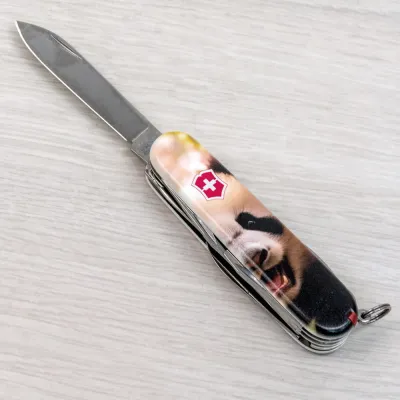 Складной нож Victorinox FISHERMAN ANIMAL Панда 1.4733.7.F1110pw - 8 - Robinzon.ua