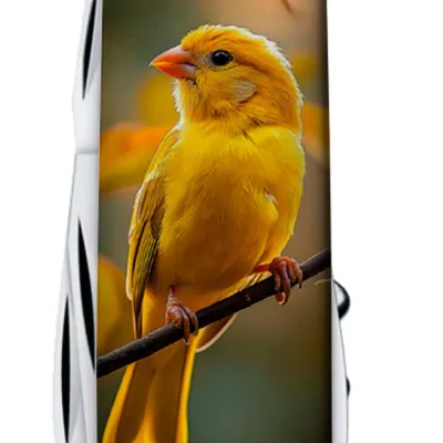 Складной нож Victorinox SPARTAN UKRAINE Золотая птичка 1.3603.7.T3170pw - 4 - Robinzon.ua