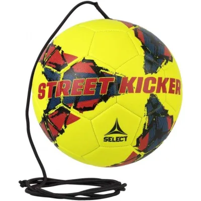 Мяч для обучения Select STREET KICKER NEW Желтый размер 4 (389482-555) - Robinzon.ua