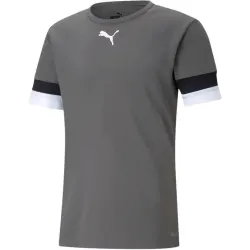 Футболка Puma teamRISE Jersey сірий Чол M 704932-13 M Футболка Puma teamRISE Jersey сірий Чол M 704932-13 M - Robinzon.ua