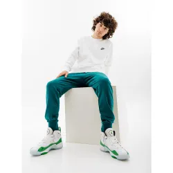 Чоловічі Штани Nike CLUB JGGR FT Зелений  2XL (7dBV2679-381 2XL) - Robinzon.ua