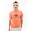 Мужская Футболка HELLY HANSEN RWB GRAPHIC T-SHIRT Оранжевый L (7d53763-284 L) - Robinzon.ua