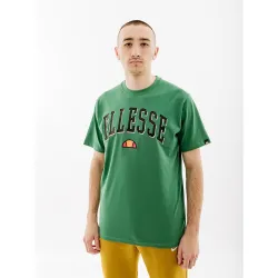 Чоловіча Футболка Ellesse Colombia 2 Tee Зелений XL (7dSHR17640-503 XL) Чоловіча Футболка Ellesse Colombia 2 Tee Зелений XL (7dSHR17640-503 XL) - Robinzon.ua