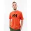 Чоловіча Футболка HELLY HANSEN HH LOGO T-SHIRT Помаранчевий  XL (7d33979-300 XL) - Robinzon.ua