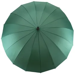 Парасолька Semi Line Green (2512-6) Парасолька Semi Line Green (2512-6) - Robinzon.ua