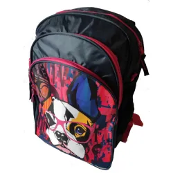 Рюкзак школьный Paso синий на 17л Рюкзак школьный Paso синий на 17л - Robinzon.ua