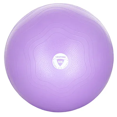 Фитбол укрепленный LivePro ANTI-BURST CORE-FIT EXERCISE BALL фиолетовый 55см LP8201-55 - Robinzon.ua