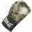 Боксерские перчатки  Everlast SPARK TRAINING GLOVE черный Уни 16 унций P00002416 - Robinzon.ua