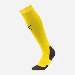 Гетри Puma Team LIGA Socks CORE жовтий Уні 31-34 703441-07 31-34 - Robinzon.ua