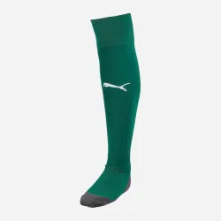 Гетри Puma Team LIGA Socks CORE зелений Уні 31-34 703441-05 31-34 - Robinzon.ua