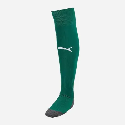 Гетри Puma Team LIGA Socks CORE зелений Уні 31-34 703441-05 31-34 - Robinzon.ua
