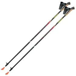 Палиці для скандинавської ходьби Gabel FX-75 Snake Carbon 115 Dual Spike (7008351011150) - Robinzon.ua