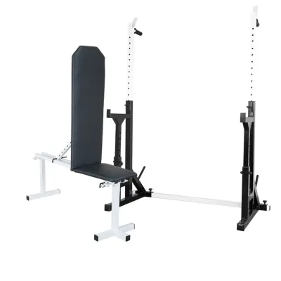 Скамья регулируемая для жима 30 на 30 мм + Стойки со страховкой 40 на 40 мм с брусьями и штырями под блины - Robinzon.ua