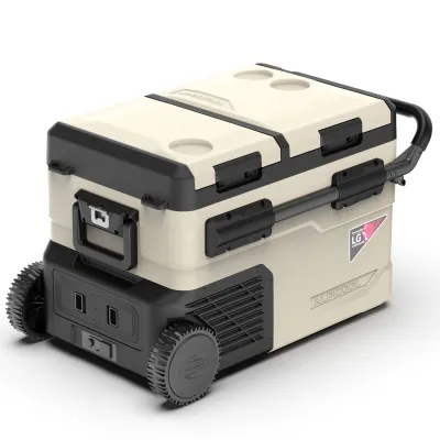 Компрессорный автохолодильник Alpicool TGBSW35 (LG). 38 литров. Двухкамерный. До -20℃. (12, 24, 220 вольт) - Robinzon.ua