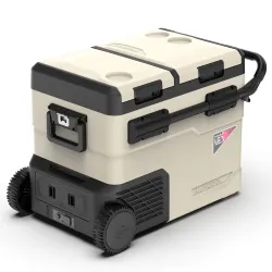 Компресорний автохолодильник Alpicool TGBSW45 (LG). 47 літрів. Двокамерний. До -20℃. (12, 24, 220 вольт) - Robinzon.ua