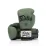 Боксерські рукавиці Fairtex BGV11 Green 10 унцій - Robinzon.ua