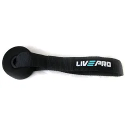 Фиксатор для эспандера LivePro DOOR ANCHOR черный 25см LP8403 - Robinzon.ua