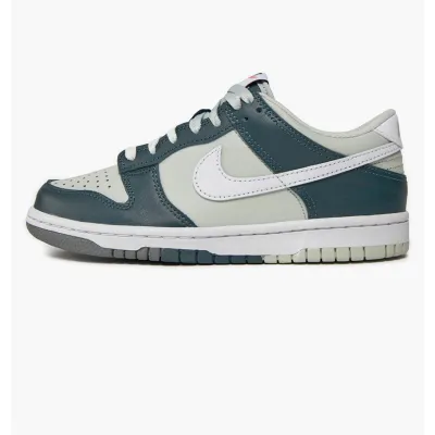 Дитячі Кросівки Nike DU LOW  Різнокольоровий 37.5 (7dFB9109-300 37.5) - Robinzon.ua