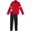 Костюм спортивний PUMA teamRISE Tracksuit Jr червоний, чорний Дитячий 176 см 658655-01 176 см - Robinzon.ua