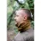 Флисовая повязка Tribe Neck Warmer T-KF-0024-coyote, S-M. - Robinzon.ua