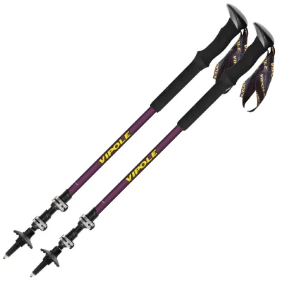 Палки трекинговые Vipole Base Camp Violet DLX (S25 08) - Robinzon.ua