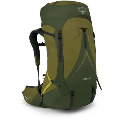 Рюкзак Osprey Atmos AG LT 65 Scenic Valley/Green Peppercorn, L/XL (009.3279) - Robinzon.ua