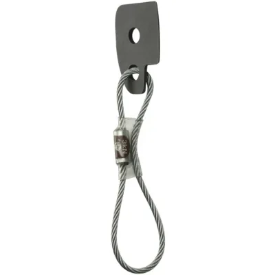 Скальный крюк Black Diamond Rurp (BD 520210) - Robinzon.ua