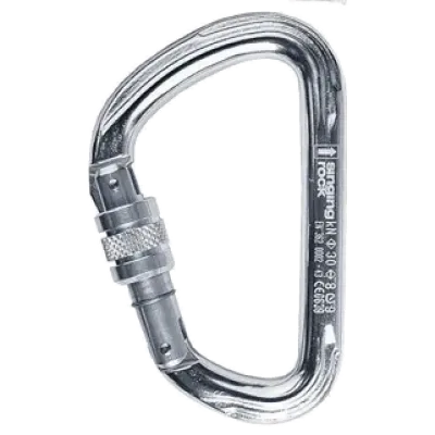 Карабін Singing Rock Keylock D Big Connector, Screw Gate - 30 кН (SR K5070.PP) - Robinzon.ua