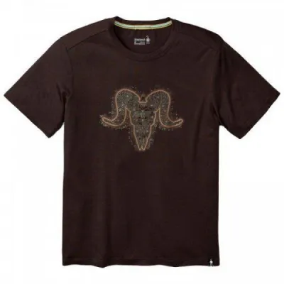 Футболка мужская Smartwool Merino 150 Aires Tee Sumatra Brown, р.S (SW 16078.893-S) - Robinzon.ua